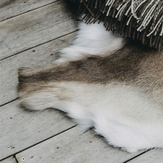 Reindeer Hide